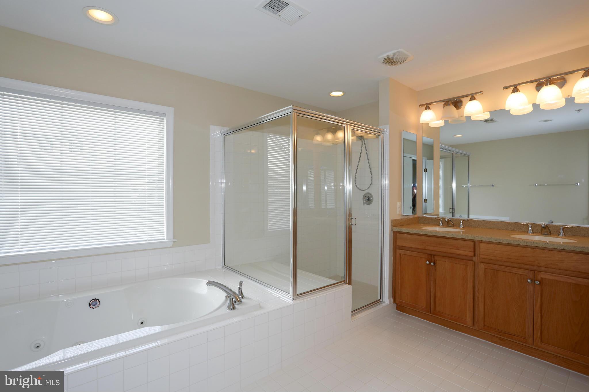23847 Burdette Forest Road Clarksburg, MD 20871 - Photo 16 of 24 Bath (Master)