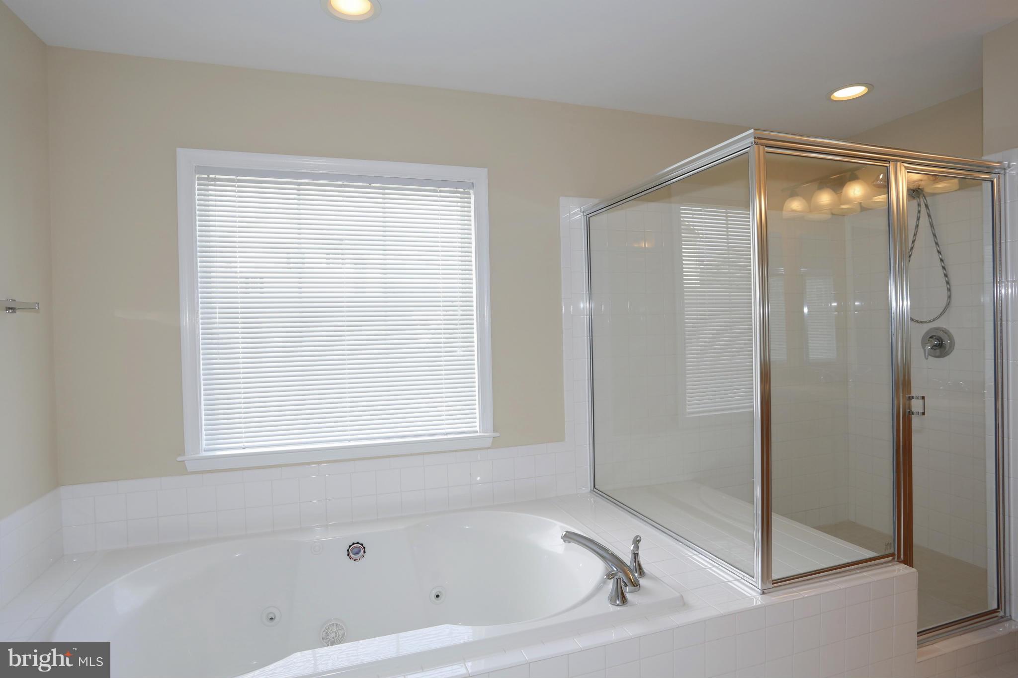 23847 Burdette Forest Road Clarksburg, MD 20871 - Photo 17 of 24 Bath (Master)