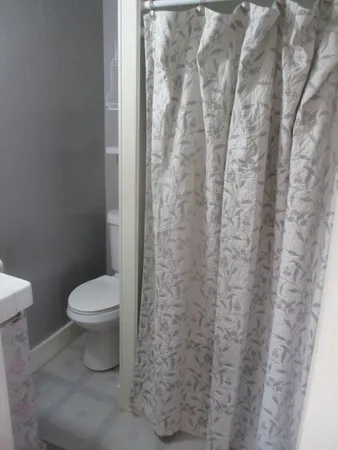 a white toilet sitting next to a shower curtain
