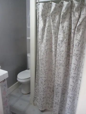 a white toilet sitting next to a shower curtain