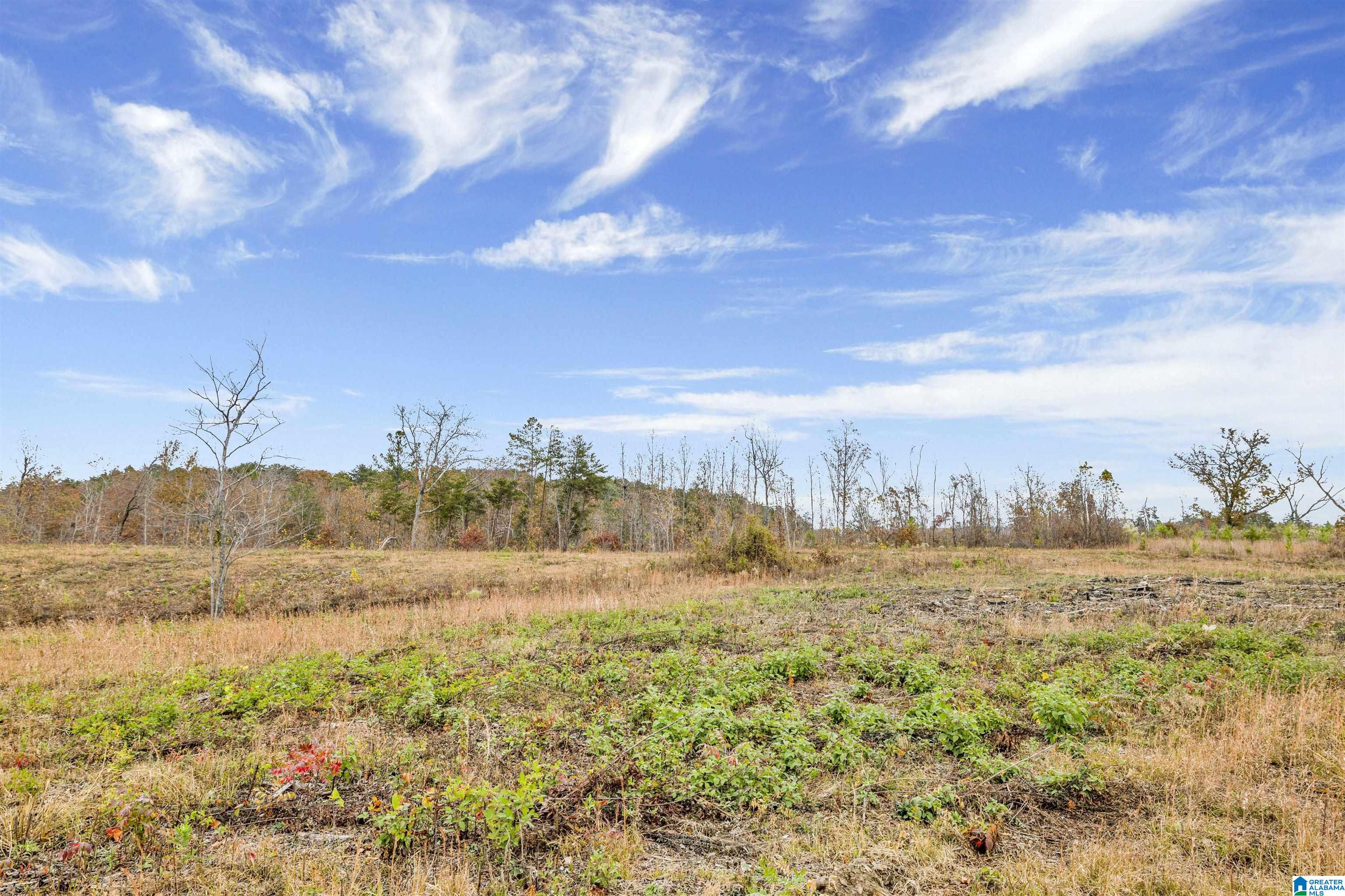 6060 Huckleberry Lane Morris, AL 35116 - Photo 27 of 35