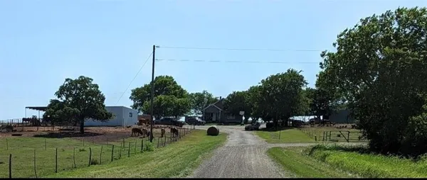 a view of a park with plants and trees
