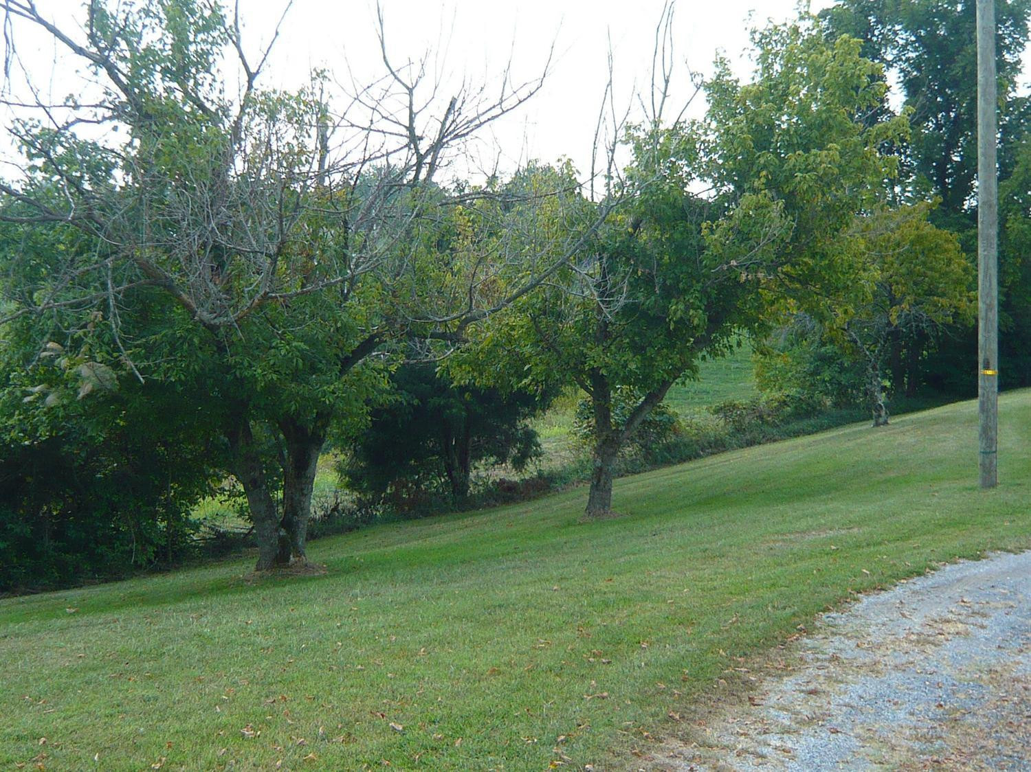 9210 Georgetown Road Owenton, KY 40359 - Photo 11 of 22 Gallery Image 11