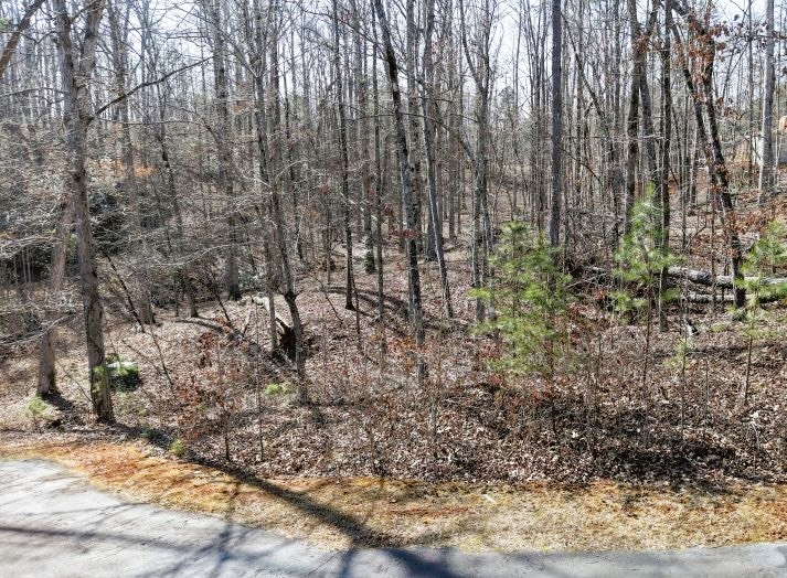 8 Gabriel Way Pickens, SC 29671 - Photo 3 of 12 A tranquil wooded lot offers a peaceful retreat for a future home.