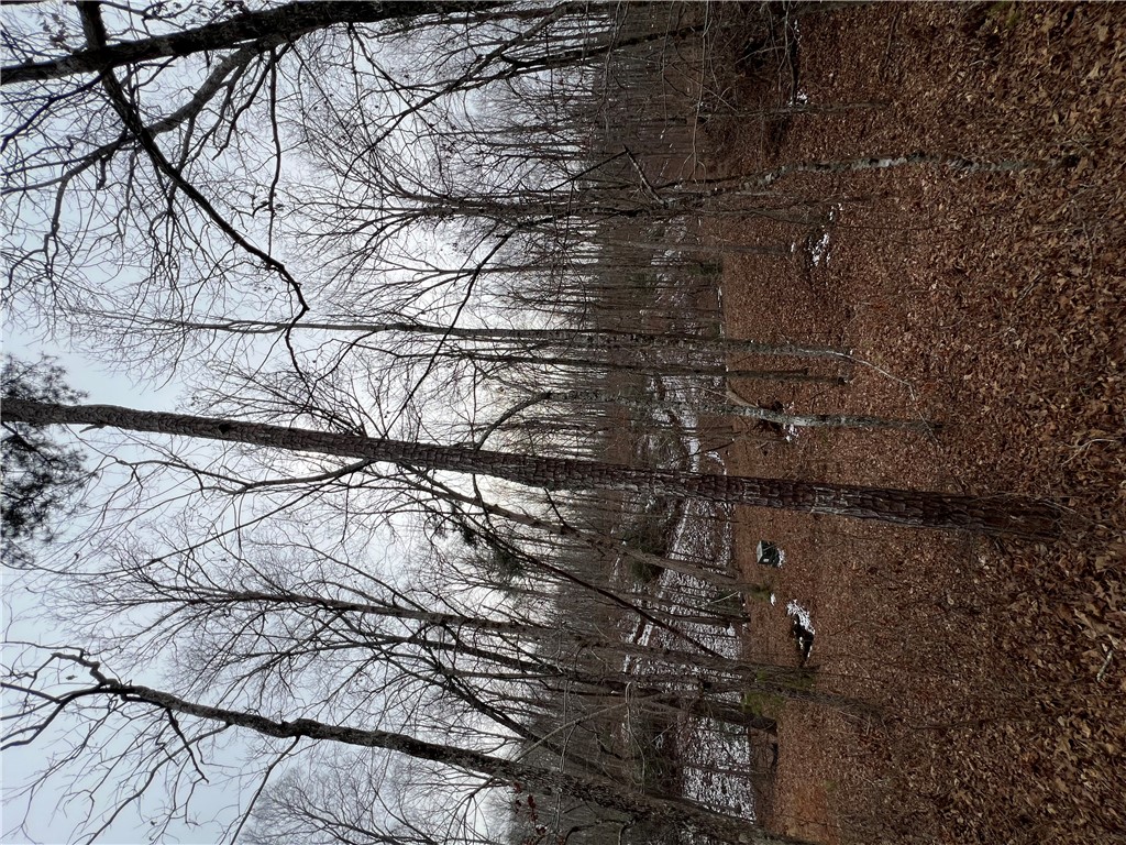 8 Gabriel Way Pickens, SC 29671 - Photo 7 of 12 This tranquil wooded lot offers a private setting, perfect for your future home.