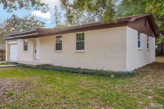 a view of a backyard with plants and large tree