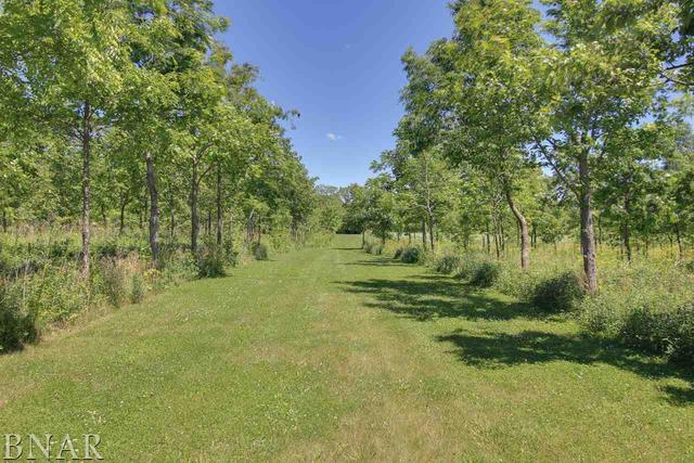 30750 Center Road Armington, IL 61721 - Photo 7 of 29
