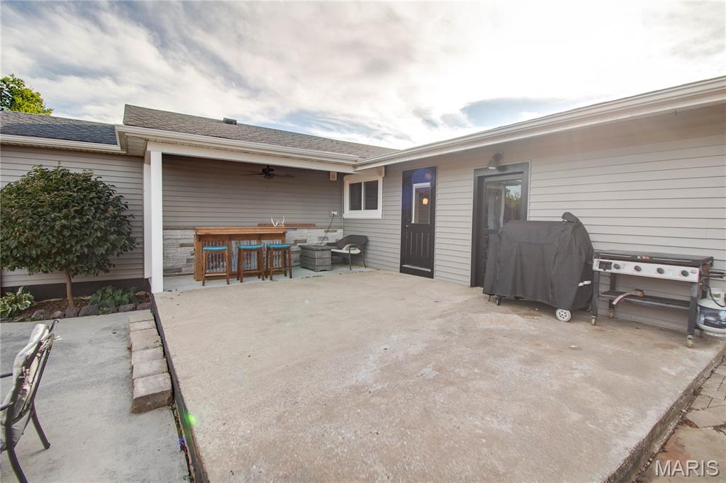 115 Schoeneman Road Shipman, IL 62685 - Photo 59 of 80 Gallery Image 59