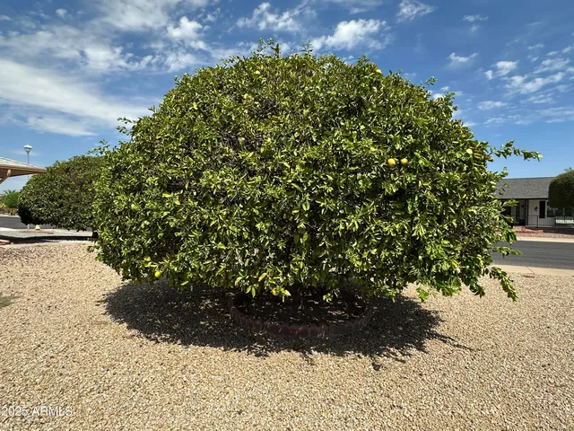 a house view with a garden space