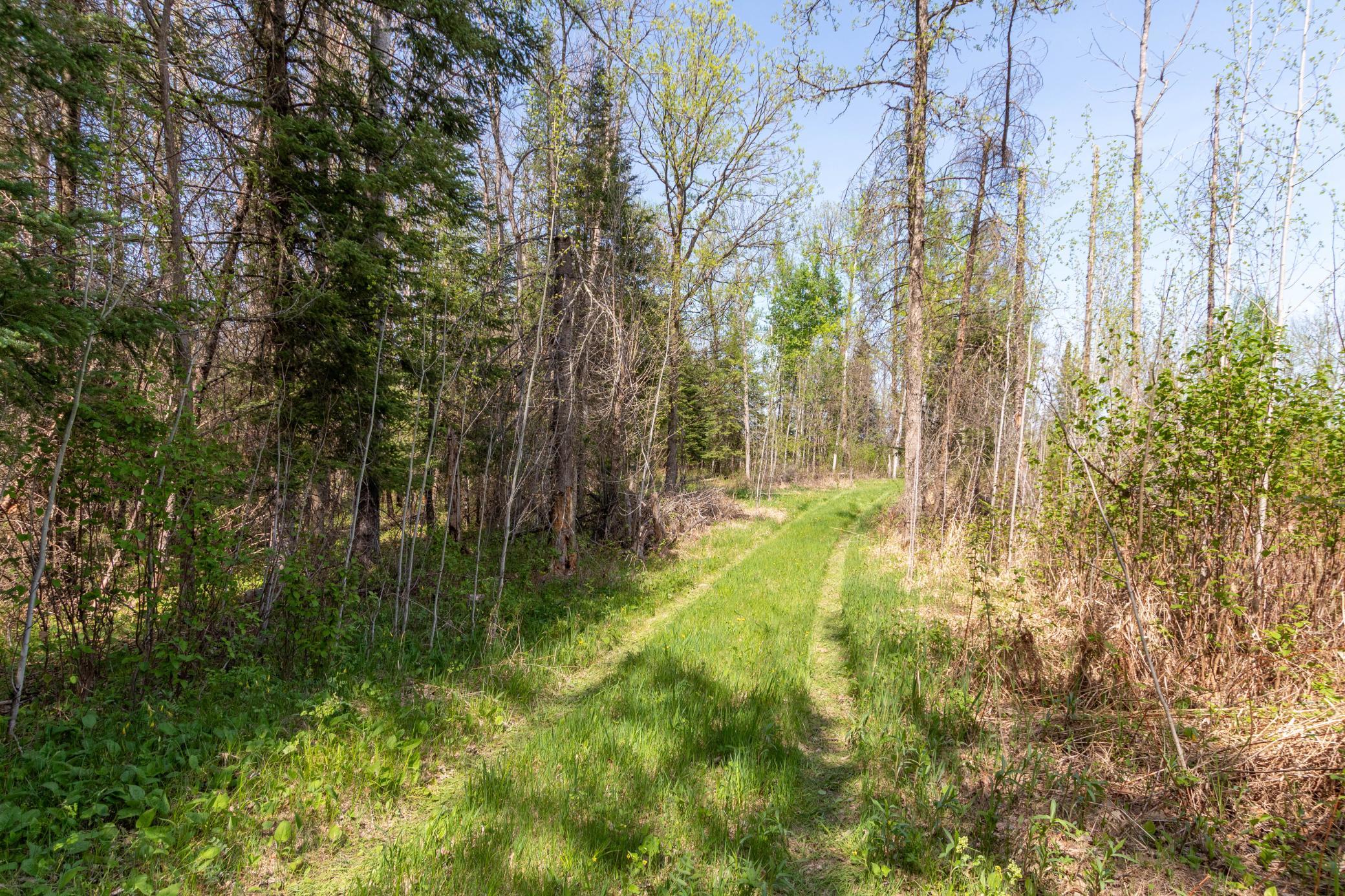 Tbd Tbd Stephani Road Northwest Puposky, MN 56667 - Photo 12 of 24
