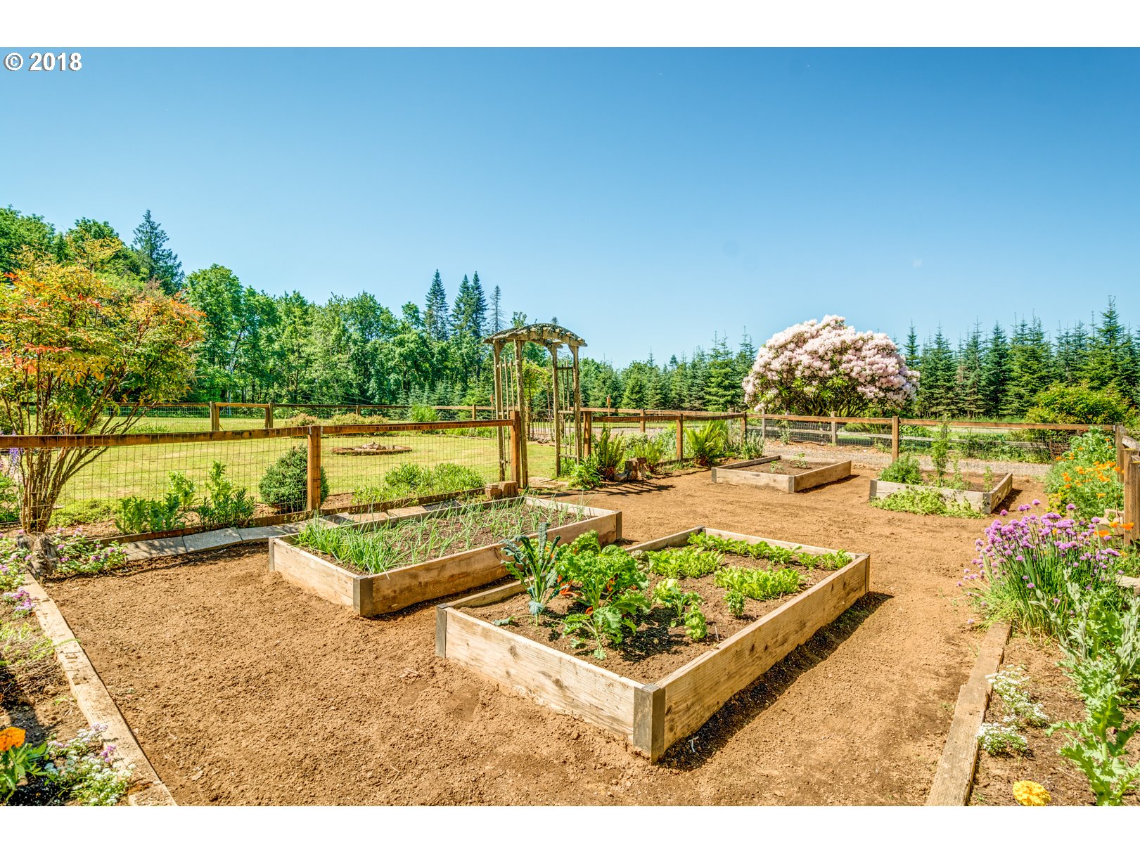 35133 Southeast Homan Road Gresham, OR 97080 - Photo 26 of 32 a view of a swimming pool with a patio and a yard