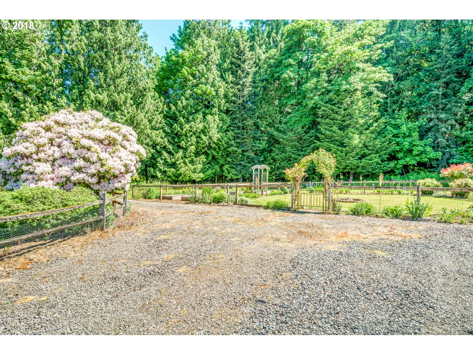 35133 Southeast Homan Road Gresham, OR 97080 - Photo 27 of 32 a view of a yard with plants and large trees