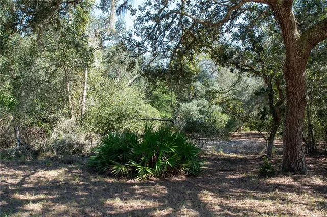 $280,000 | 47110 Central Avenue, Paisley, FL 32767