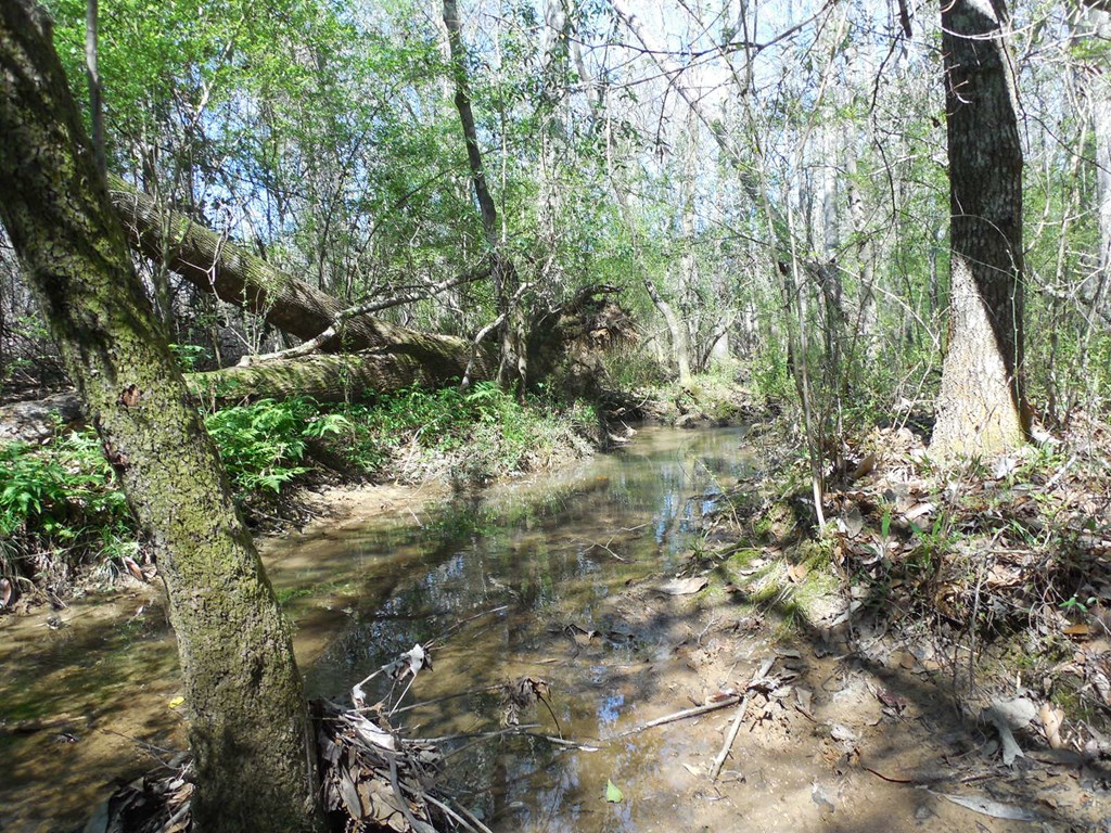 7.1-acres Cobb Road Dothan, AL 36301 - Photo 29 of 55