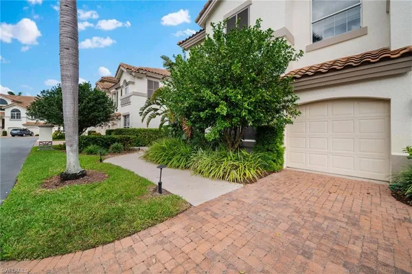 a view of a backyard with potted plants and a large tree