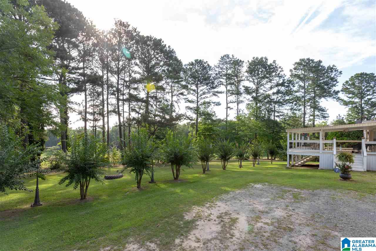 950 Back Bone Road Blountsville, AL 35031 - Photo 3 of 40