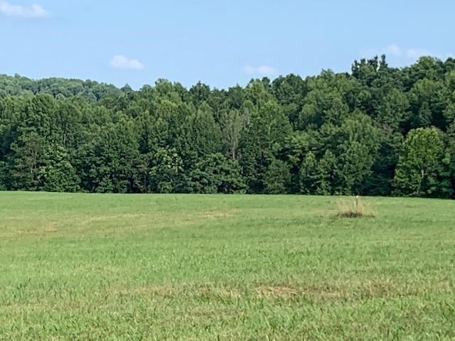 4 Police Tower Road Appomattox, VA 24522 - Photo 7 of 11 Gallery Image 7
