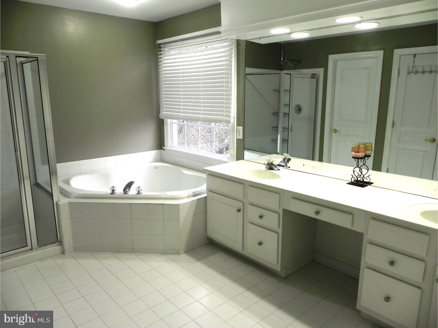 8 Hansel Road Newtown, PA 18940 - Photo 9 of 25 Master Bathroom