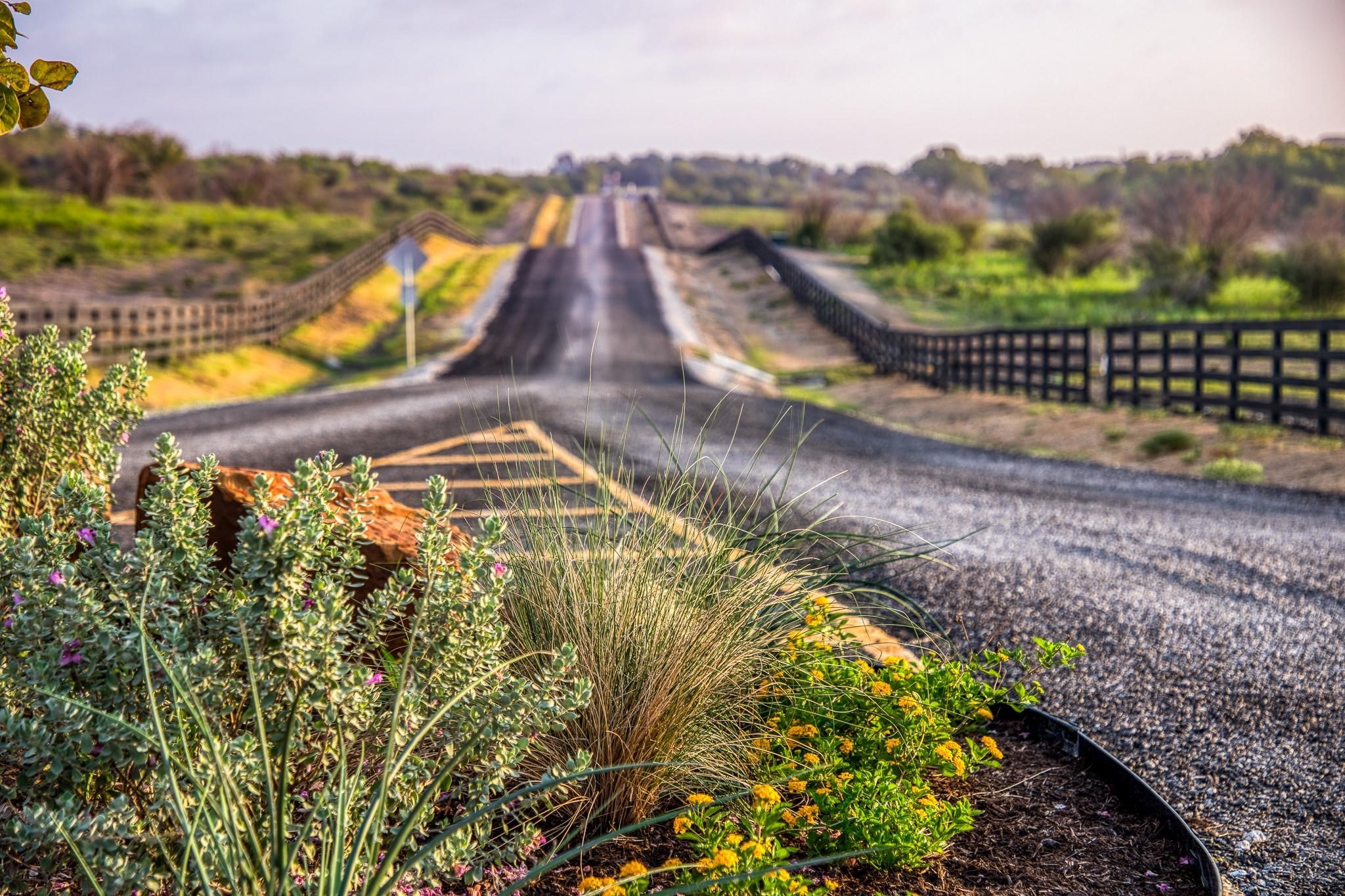 14936 Childress Rnch Drive Washington, TX 77880 - Photo 7 of 13 a view of a swimming pool with a garden