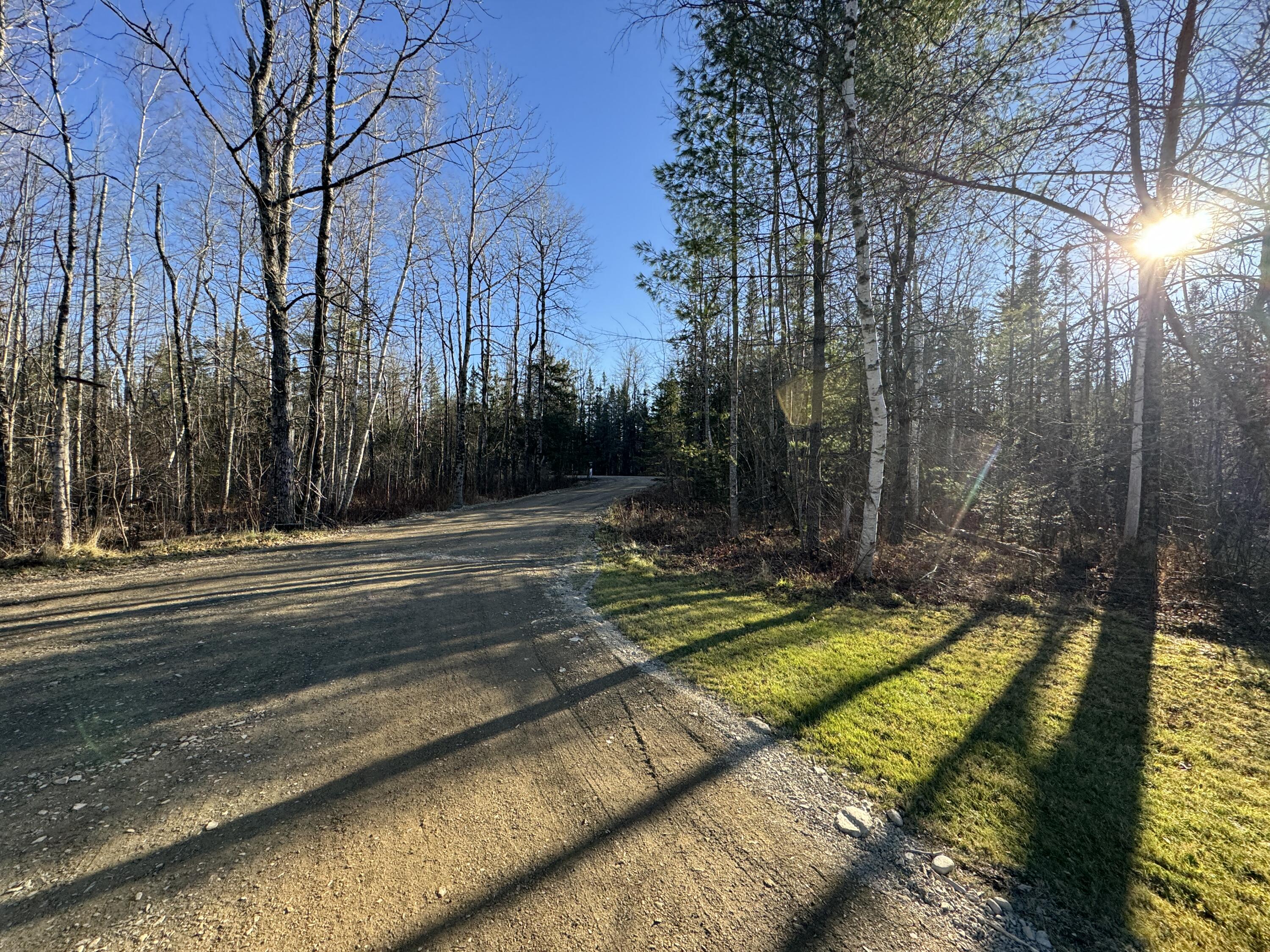 825 Mt Pleasant Road Stetson, ME 04488 - Photo 55 of 56 Driveway