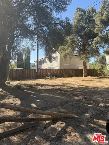 a view of road with large trees