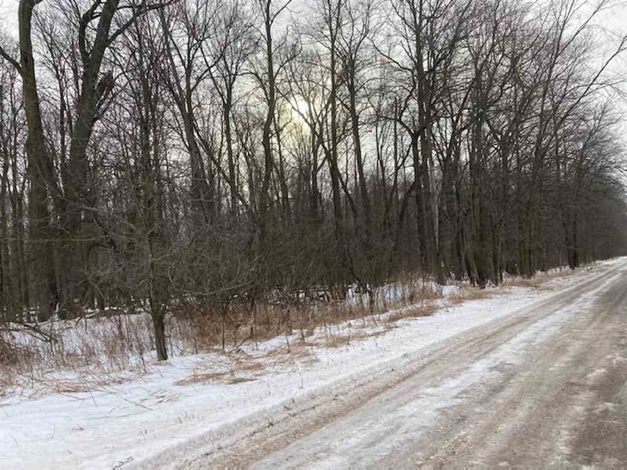Tbd West Washington Road Sumner, MI 48889 - Photo 8 of 16 1883237-7.JPG