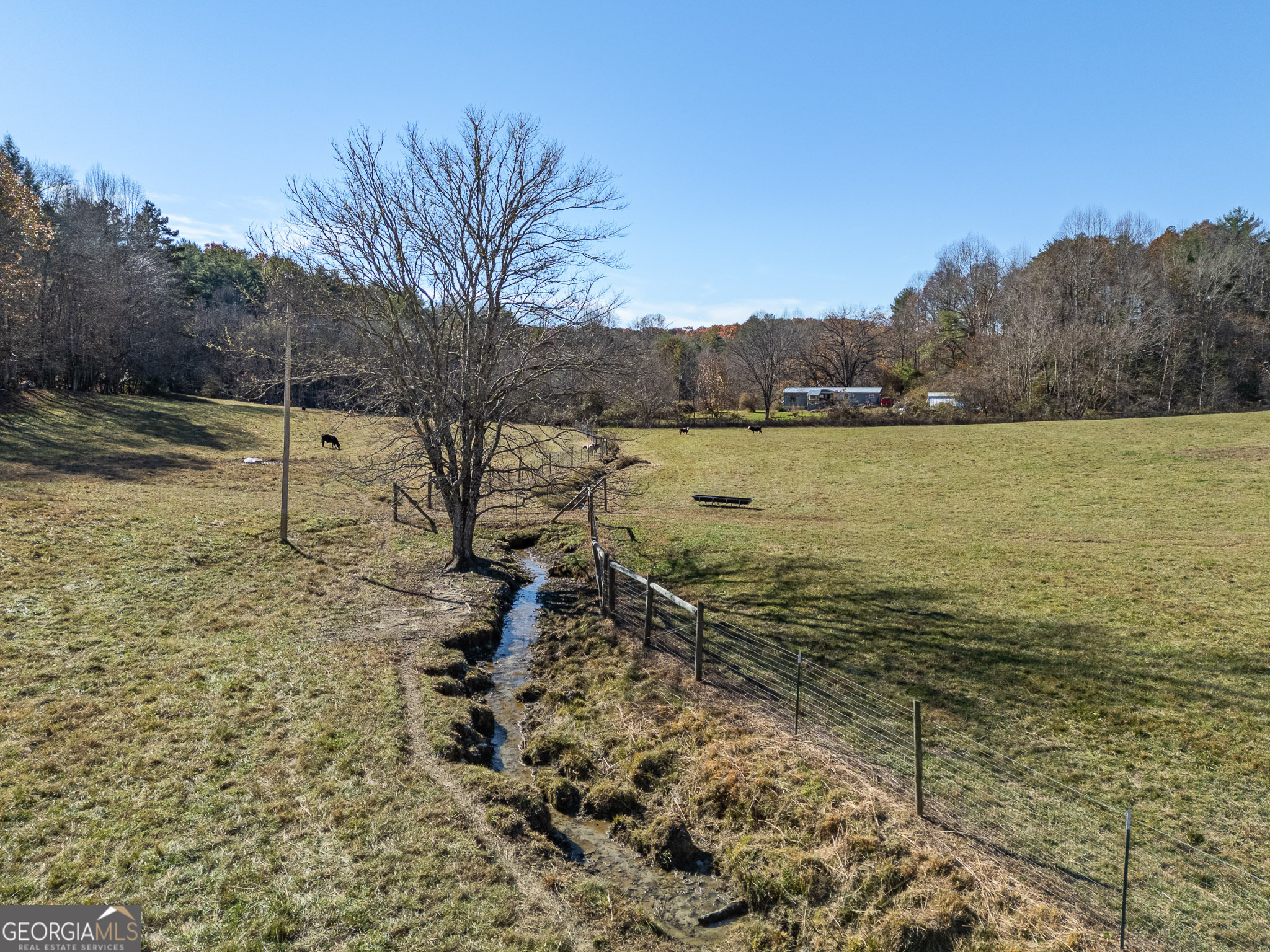 5981 Candy Mountain Road Murphy, NC 28906 - Photo 25 of 86