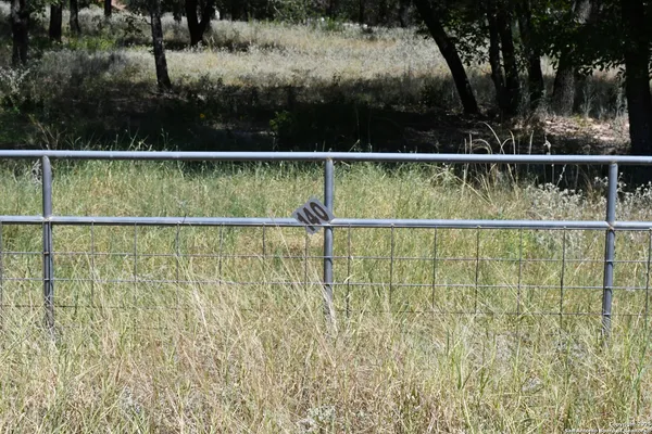 $128,000 | Tbd Lot 140 East Cr 6868, Natalia, TX 78059