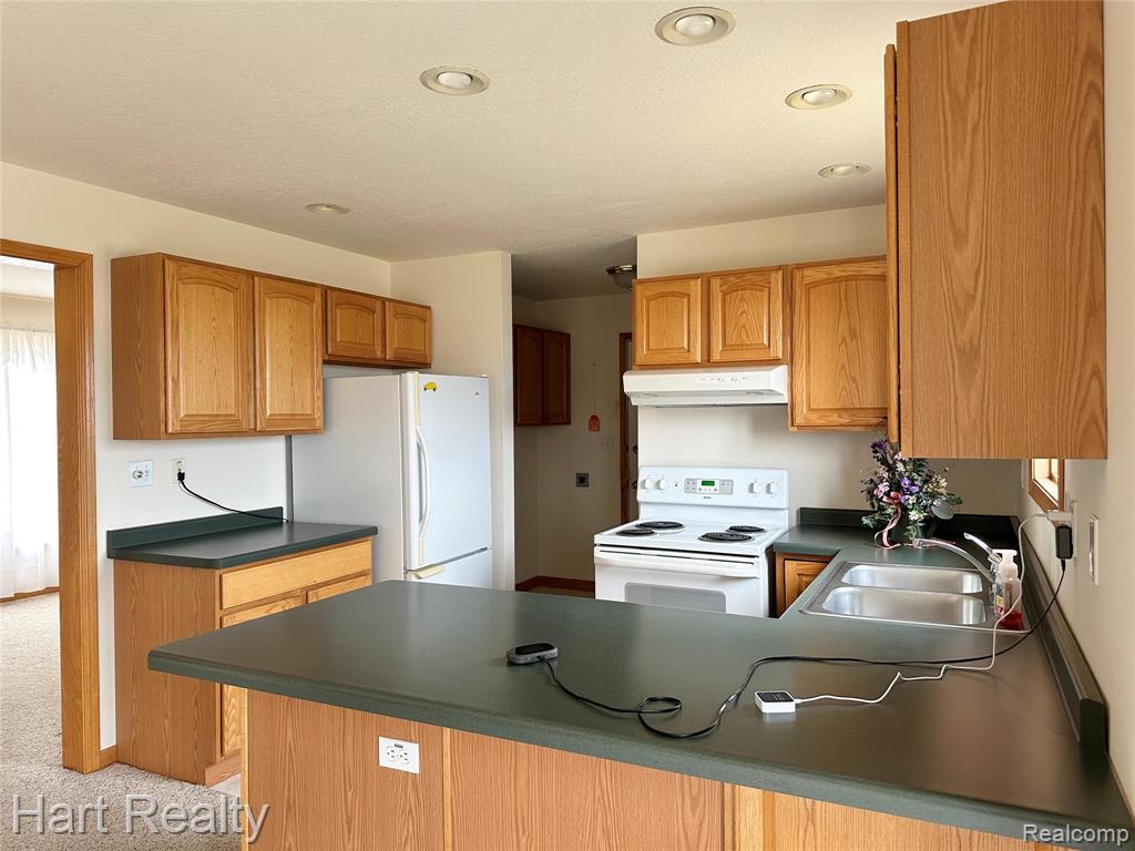 355 Juhl Road Sandusky, MI 48471 - Photo 6 of 24