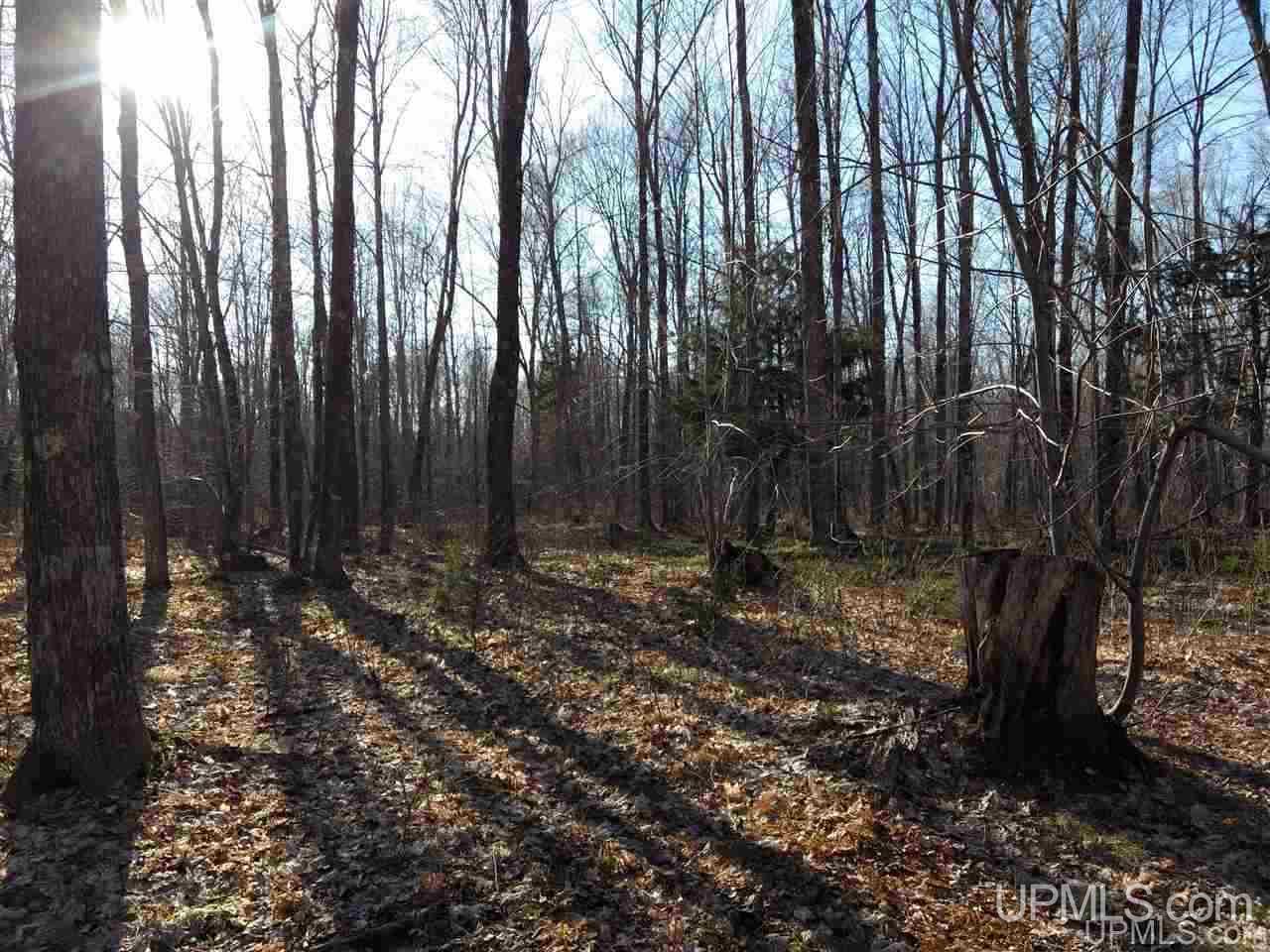 Tbd Sandstone B Road Lake Linden, MI 49945 - Photo 28 of 50