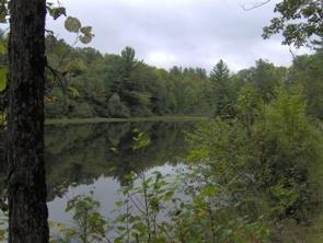 384 Toothaker Pond Road Phillips, ME 04966 - Photo 13 of 16 Other. View of the private pond,...