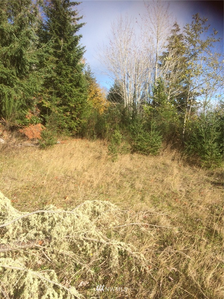 0 Eagle Ridge Road Port Angeles, WA 98363 - Photo 1 of 8 Gallery Image 1