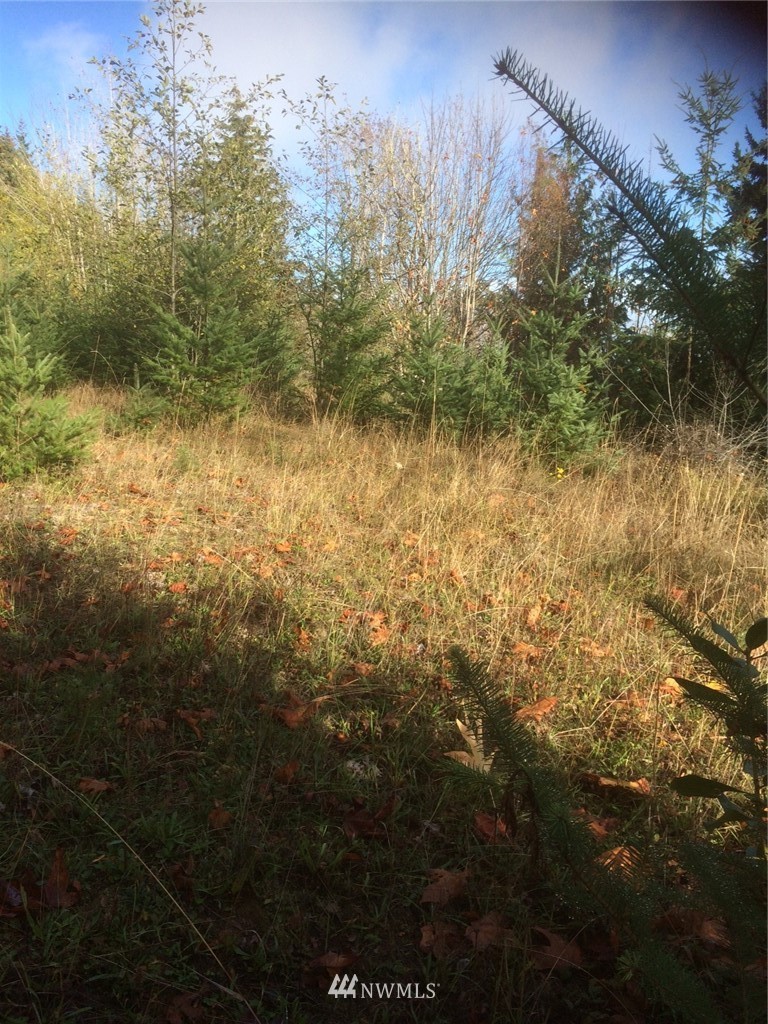 0 Eagle Ridge Road Port Angeles, WA 98363 - Photo 2 of 8 Gallery Image 2