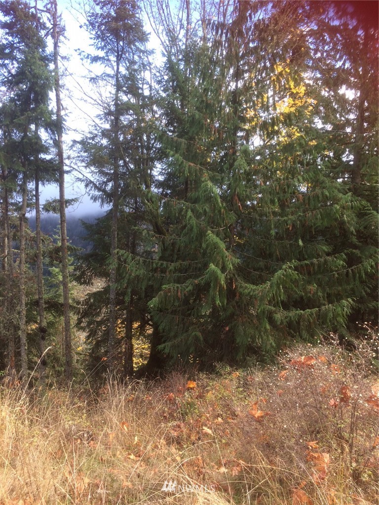 0 Eagle Ridge Road Port Angeles, WA 98363 - Photo 3 of 8 Gallery Image 3
