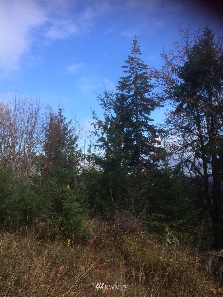 0 Eagle Ridge Road Port Angeles, WA 98363 - Photo 4 of 8 Gallery Image 4