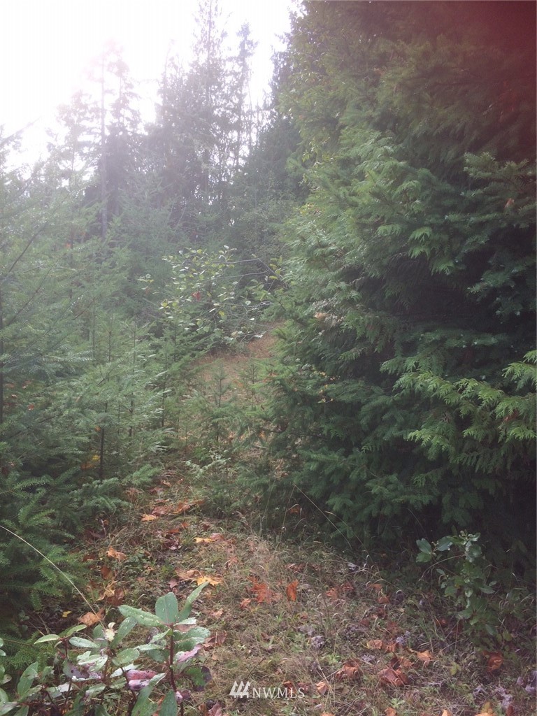 0 Eagle Ridge Road Port Angeles, WA 98363 - Photo 5 of 8 Gallery Image 5