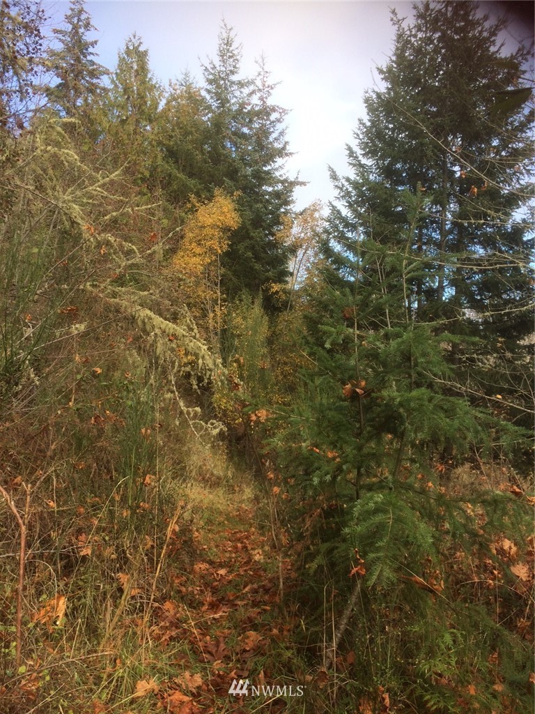 0 Eagle Ridge Road Port Angeles, WA 98363 - Photo 7 of 8 Gallery Image 7