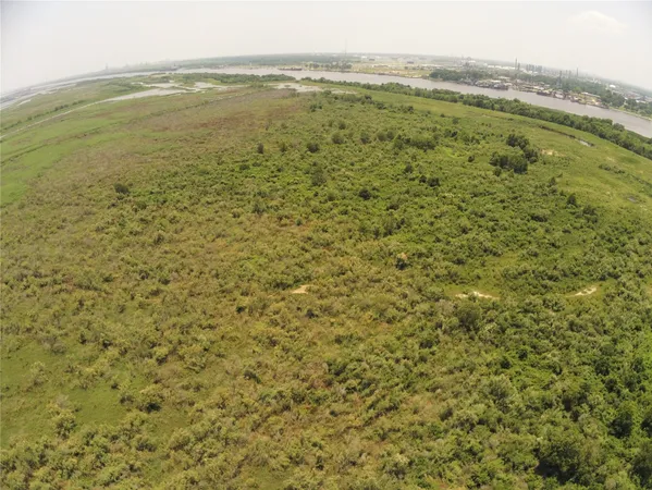 a view of a big yard with lots of bushes