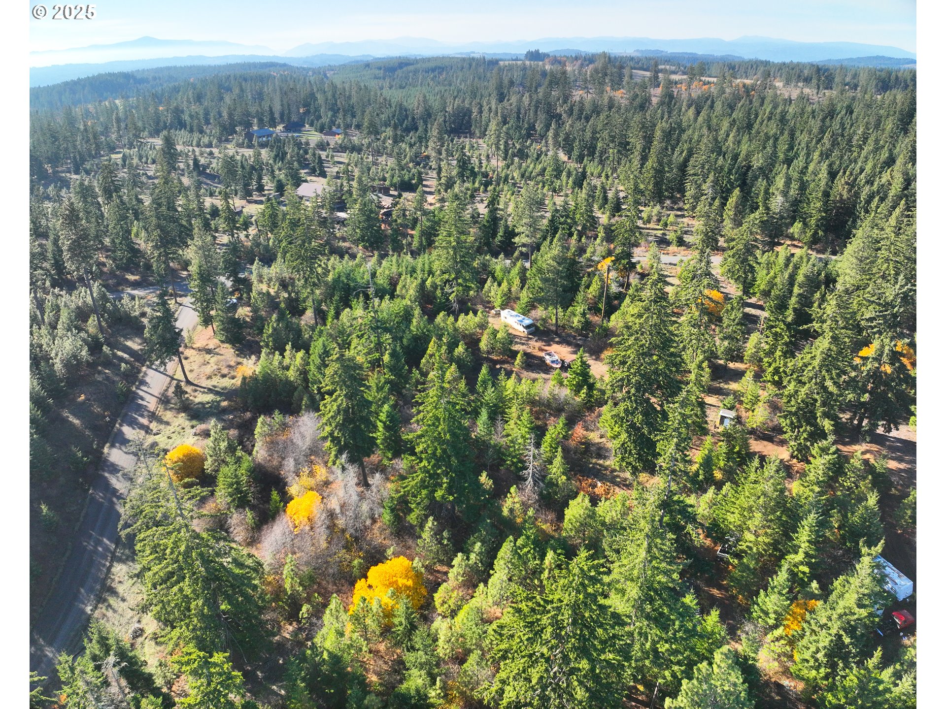 25 Remington Road Lyle, WA 98635 - Photo 3 of 10 a view of a forest with a tree