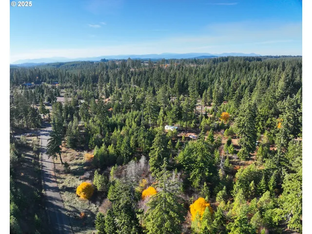 a view of a lot of a green space