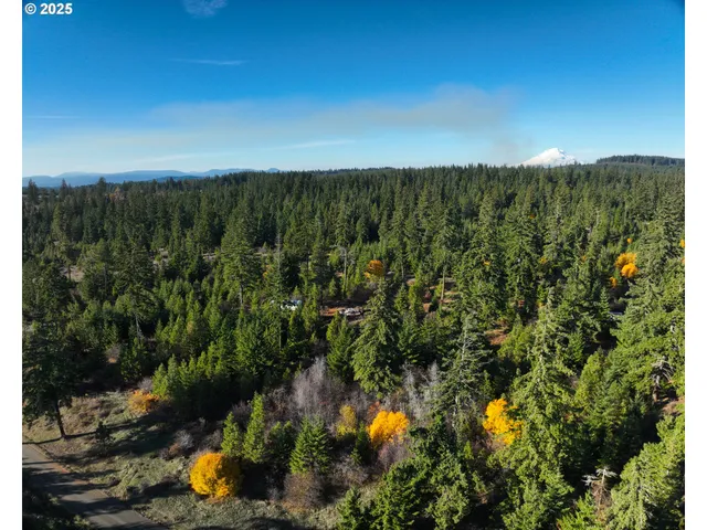 a view of a city with lush green forest