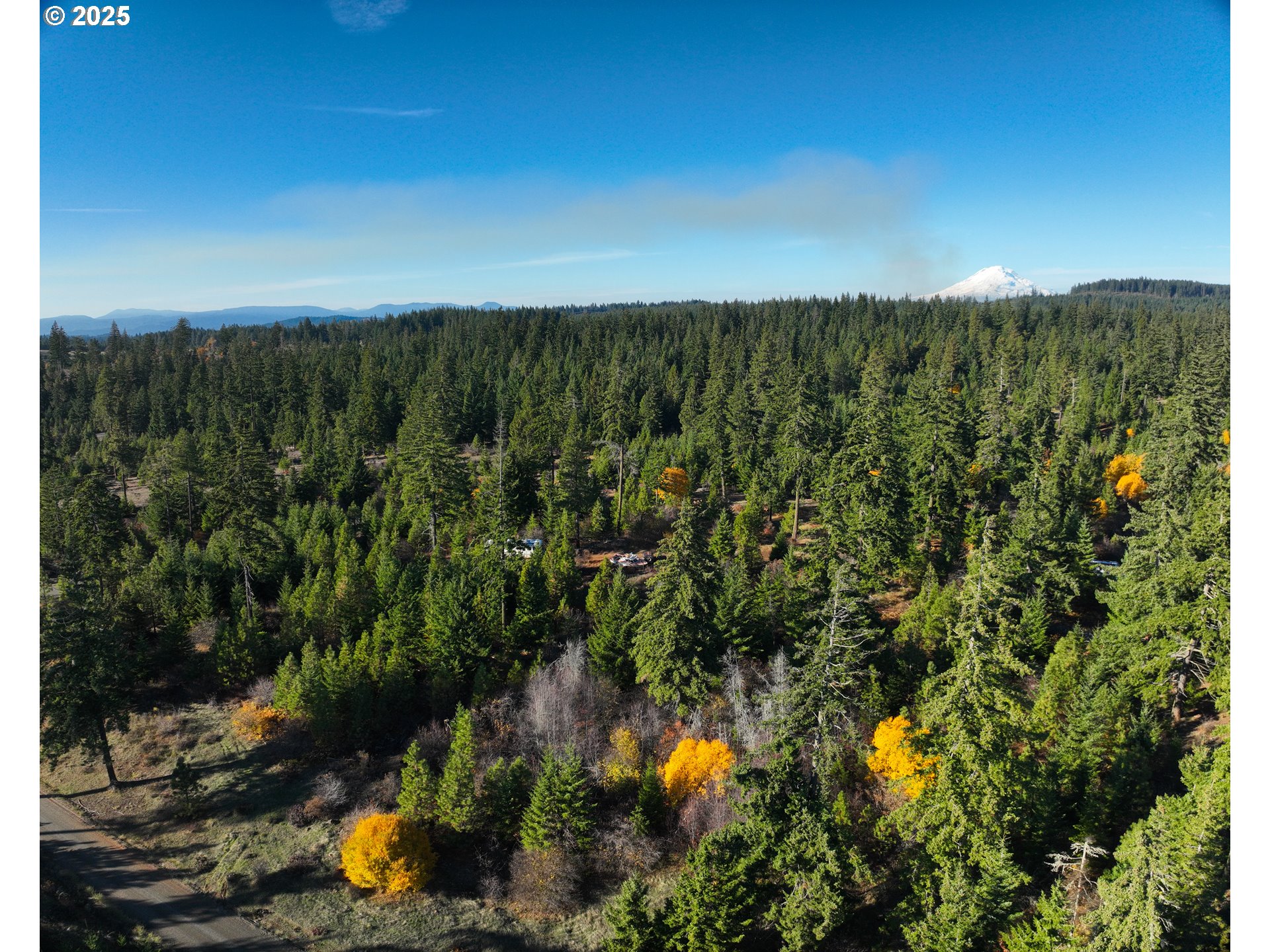 25 Remington Road Lyle, WA 98635 - Photo 5 of 10 a view of a lot of a green space