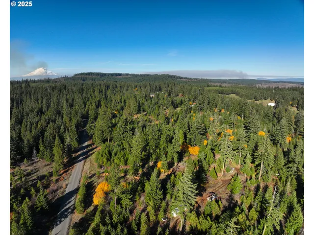 a view of a city with lush green forest