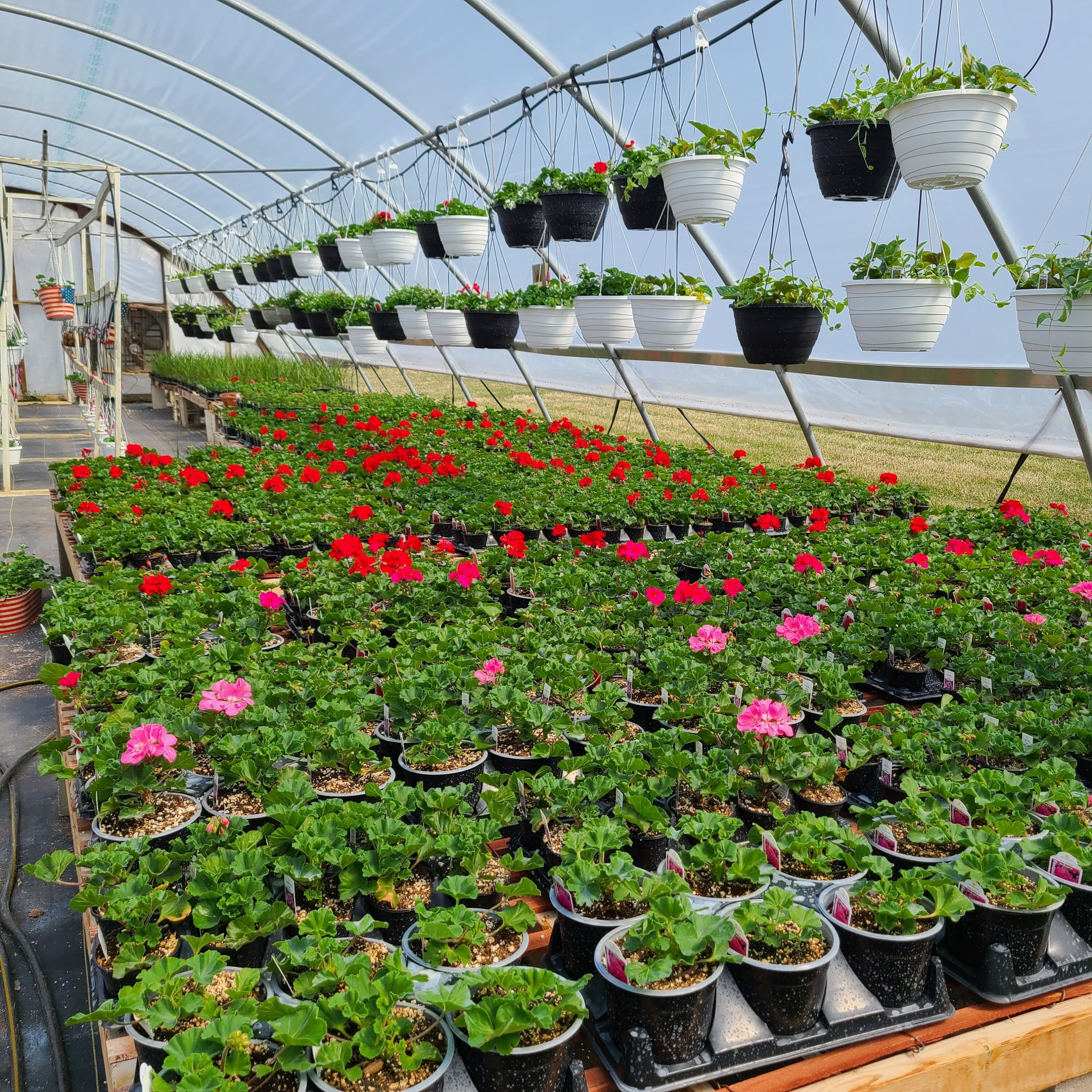 645 South Meridian Road Hudson, MI 49247 - Photo 42 of 67 20220411_121022