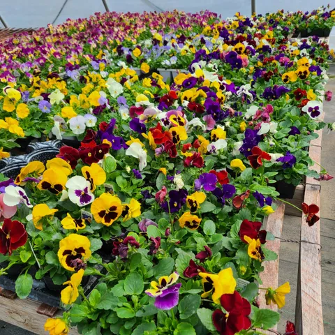 $500,000 | 645 South Meridian Road, Hudson, MI 49247