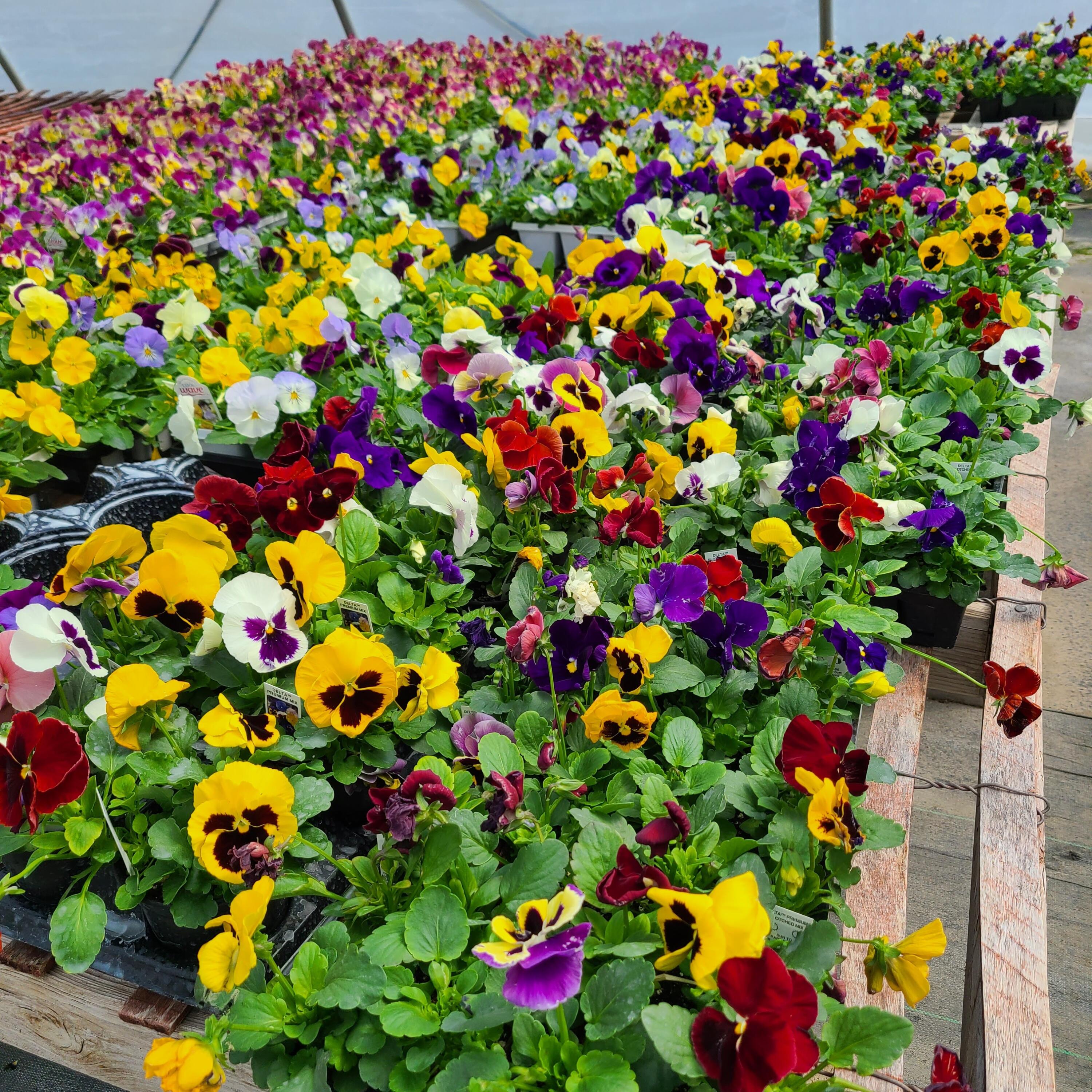 645 South Meridian Road Hudson, MI 49247 - Photo 43 of 67 20220419_123825