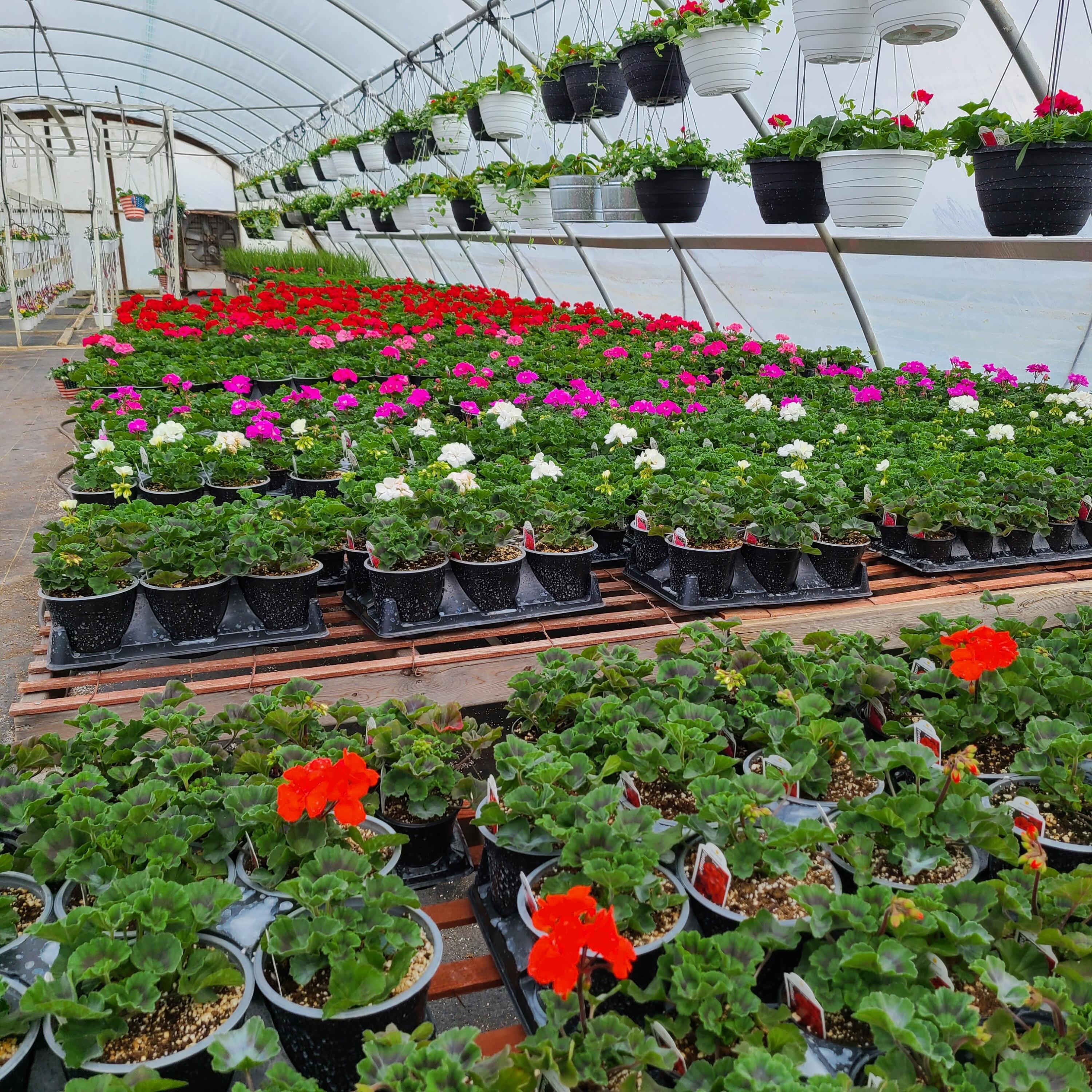 645 South Meridian Road Hudson, MI 49247 - Photo 44 of 67 20220419_124607