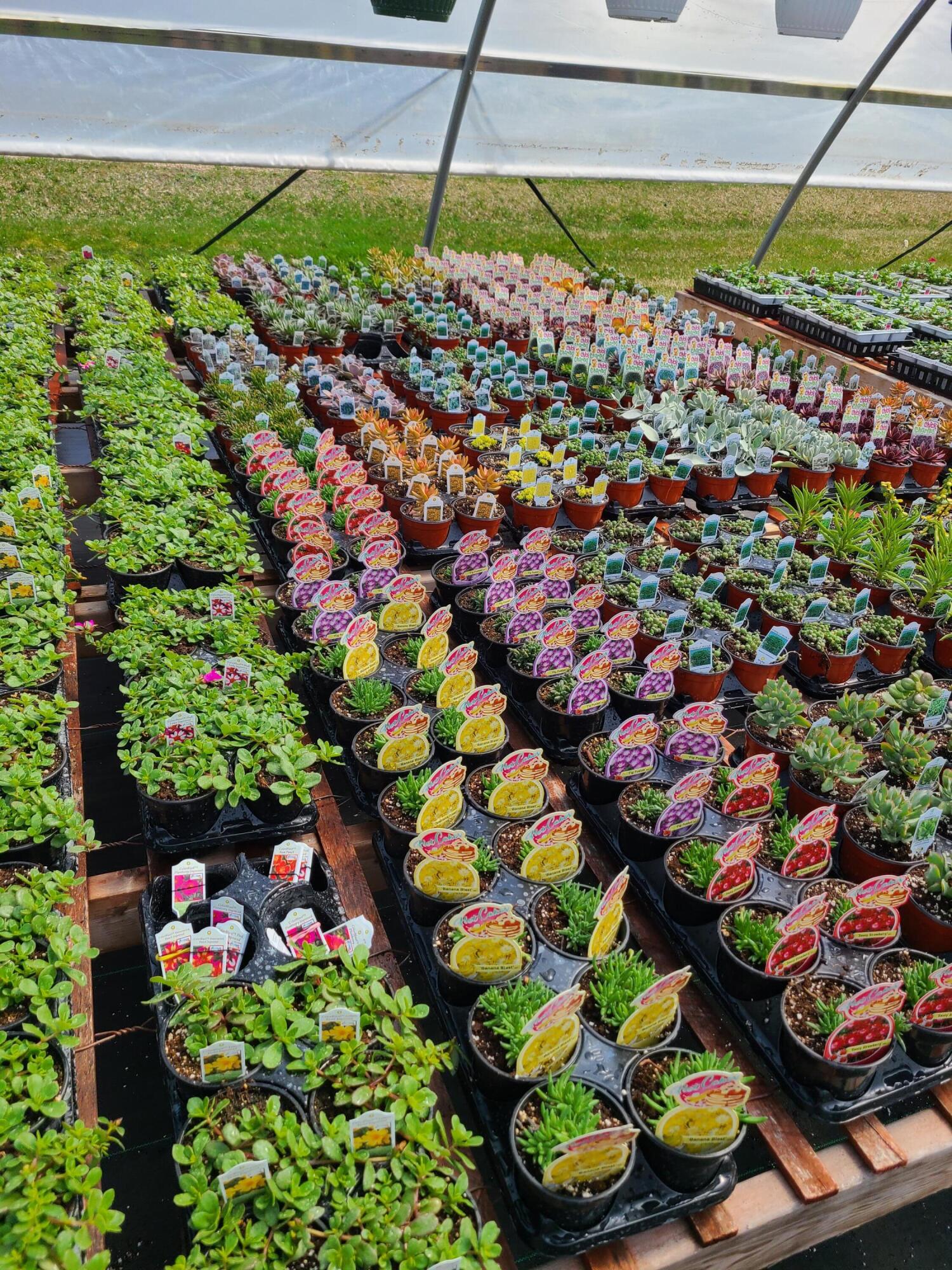 645 South Meridian Road Hudson, MI 49247 - Photo 46 of 67 20230410_131905