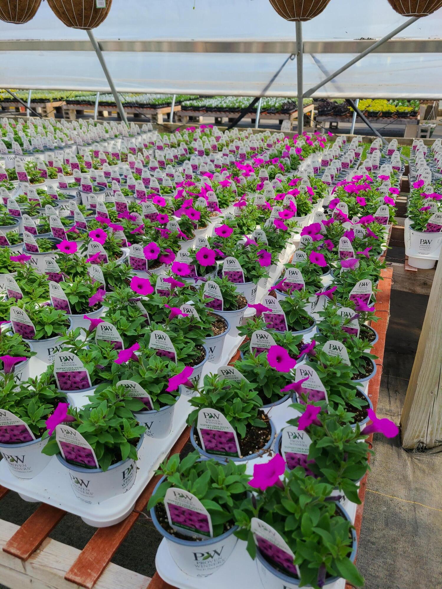 645 South Meridian Road Hudson, MI 49247 - Photo 47 of 67 20230410_132041