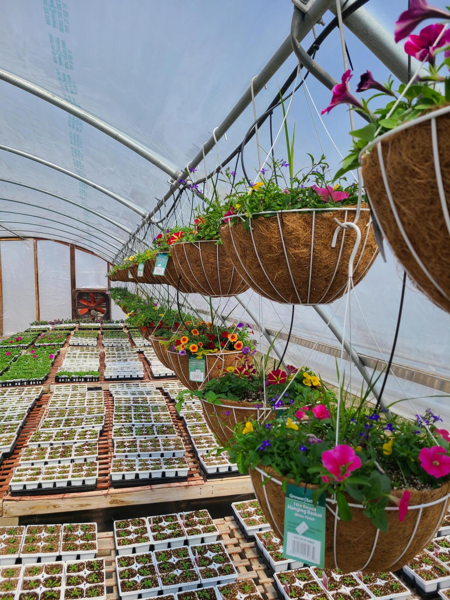 645 South Meridian Road Hudson, MI 49247 - Photo 48 of 67 20230410_132135